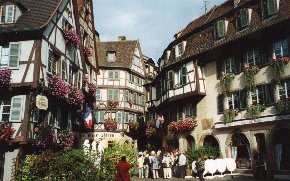 Colmar